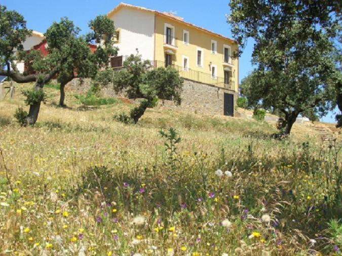 Cortijo El Criadero El Hoyo Exterior foto